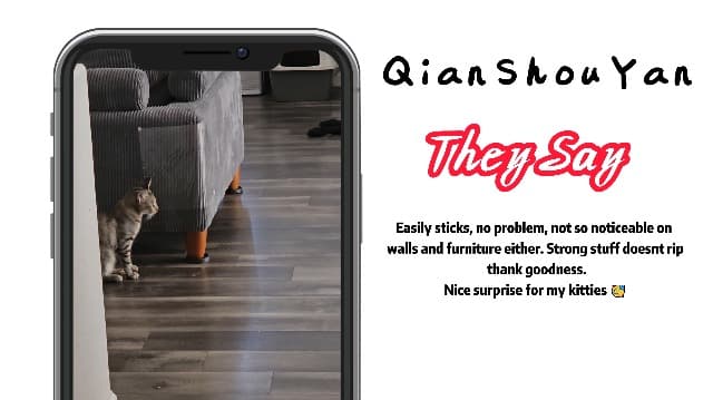 Video 1