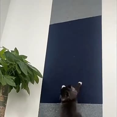 Self Adhesive Cat Scratching Mat,Wall Mounted Anti Scratch for Cat Climbing Wall,DIY Cat Scratch Mat, Furniture Scratch Protector Cat Scratch Pad Ideal for Floors,Sofas,Chair (Grey, 40x200cm)