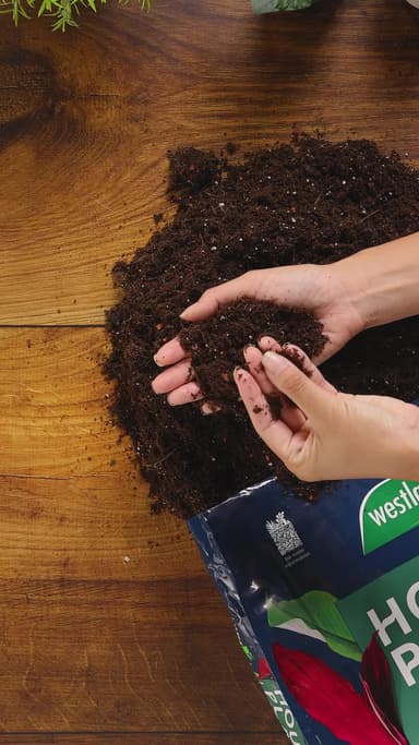 Westland Houseplant Potting Mix 10L