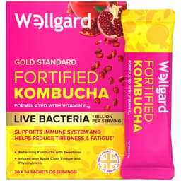 Wellgard Fortified Kombucha, Vegan Probiotic Drink Sticks, 1 Billion CFU Bacillus Coagulans, Prebiotics, Vitamin B₁₂ for Immune & Energy, 20 Sticks