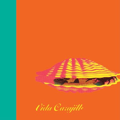 Del Maguey Vida Puebla Mezcal 70cl